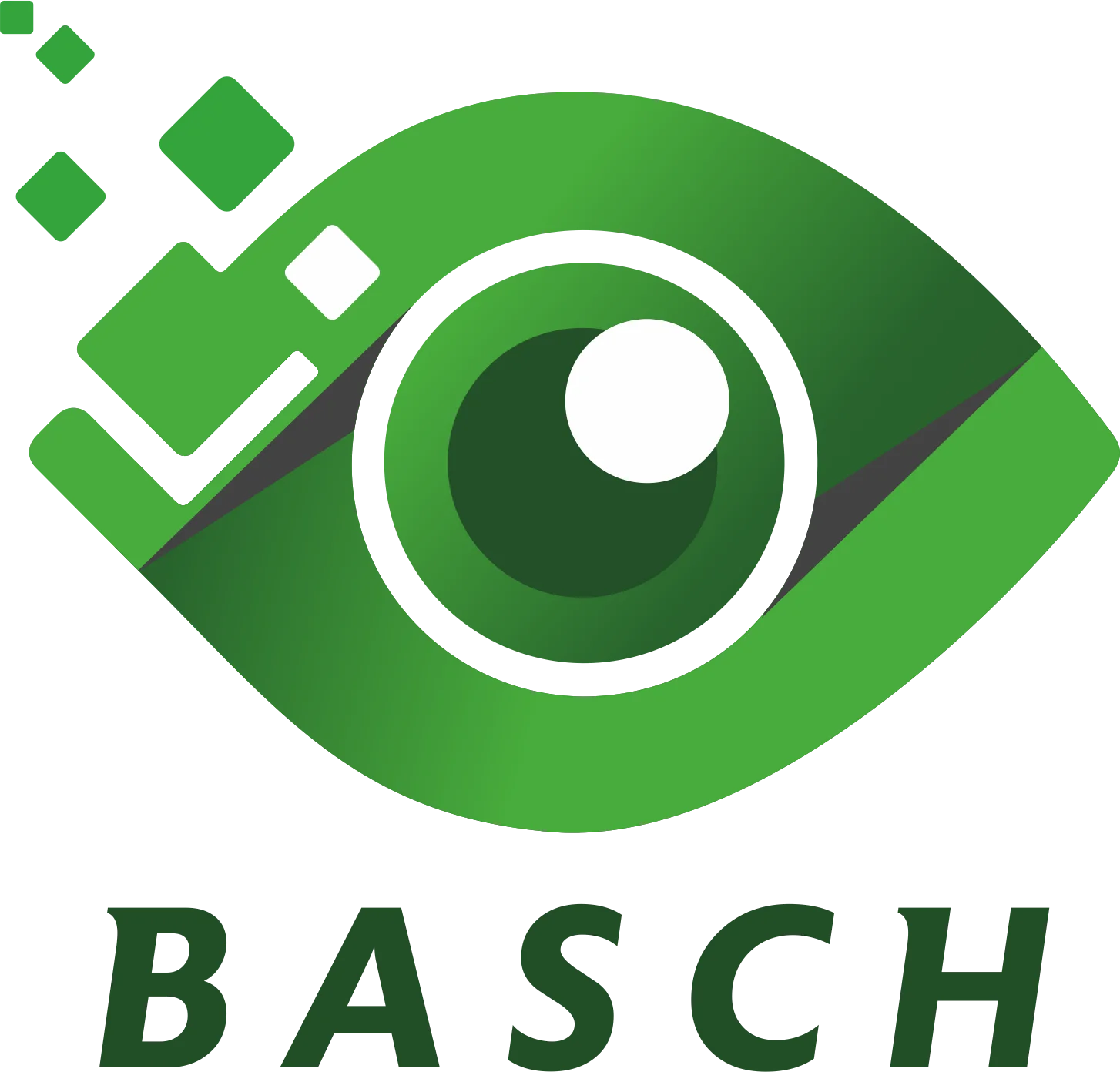LOGO-PASCH-COLOR